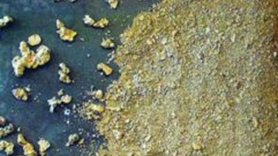 Аукционы по золоту проведут в Приморье