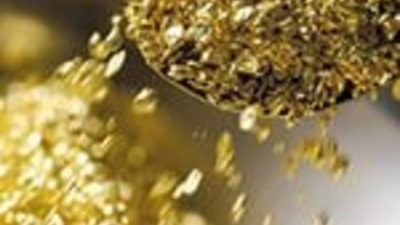 Геологи выявили Лазурное золото и медь в Березовском заказнике