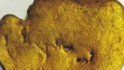 Уникальный самородок передан в Кремль