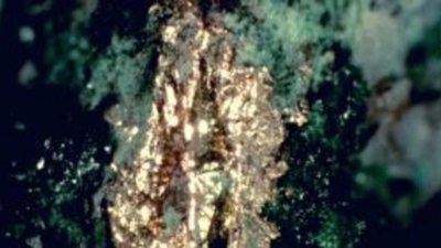 Магаданские старатели перевыполнили на 1,7 т план прошлого года по золоту