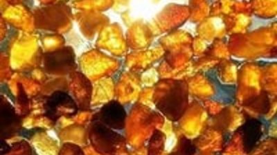 Эксперт: Сообщение об открытии янтарного месторождения в Польше похоже на провокацию