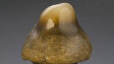 Удивительная жемчужина «Гриб»