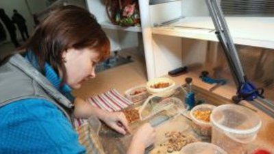 В Калининградской области официально создан янтарный промышленный кластер