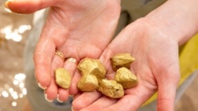 Хабаровский край в 2013 году добыл около 21 тонны золота