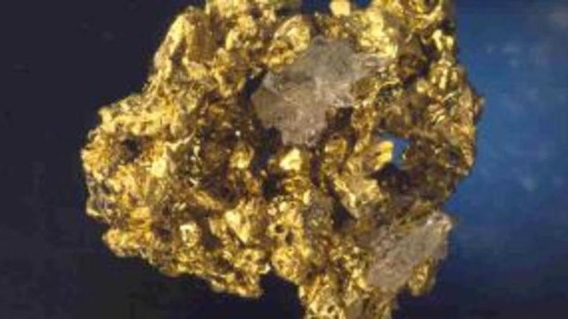 Работниками ООО "Полевая" добыто 250 кг золота