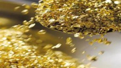 Лосось или добыча золота?