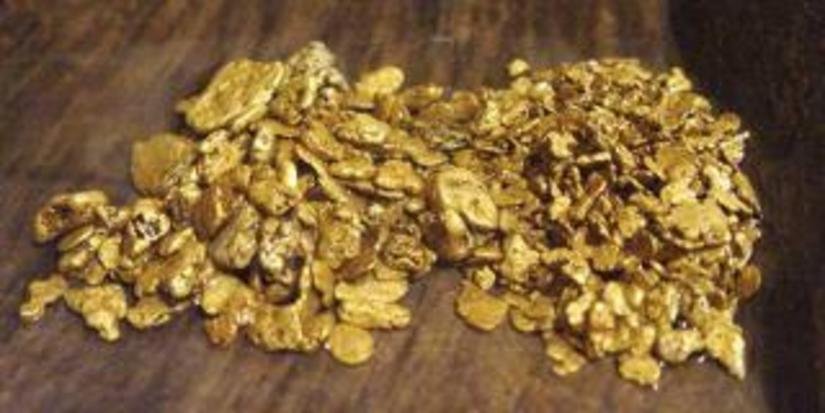 В текущем сезоне предприятия Приамурья добыли 11 тонн золота