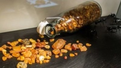 Находка в китайском янтаре