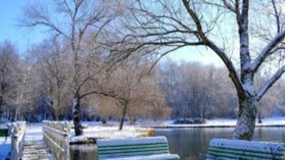 Каким будет декабрь 2014 г. для цены золота