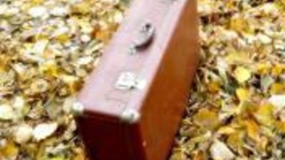 Вор похитил чемодан с драгоценностями в «Домодедово» и рванул в Испанию