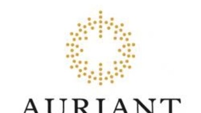 Почти вдвое возросла золотодобыча Auriant