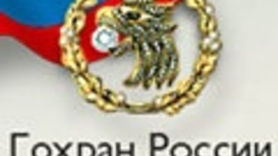 Гохран в 2015 году начнет покупать палладий