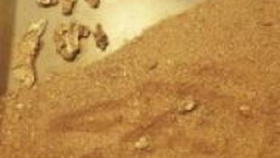 В Индии и ОАЭ золотая лихорадка