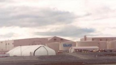 Компания BHP ищет покупателя на алмазную шахту