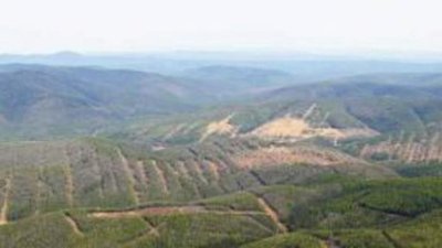 Снижено потребление золота российскими ювелирами в 2011 г.