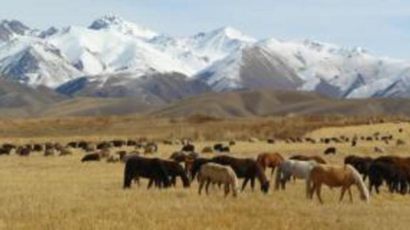 Золотые недра Киргизии выставят на аукционы