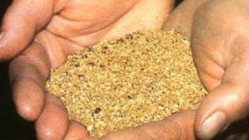 Золотодобывающее предприятие «Апрелевка» в Таджикистане намерено увеличить производство золота в два раза
