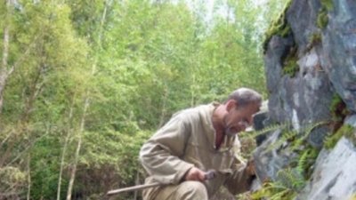 Золотоносные участки обнаружены в Приморском крае