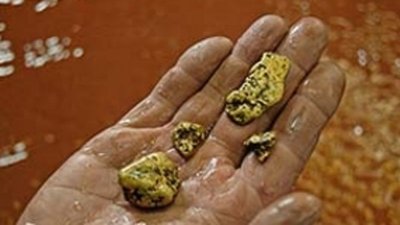 На месторождениях и россыпях Чукотки добыто 24,4 тонны золота