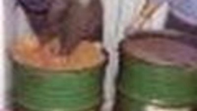 В Магадане изъяты бочки с золотом