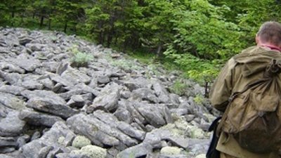 Медно-золоторудное месторождение открыто в Приморье
