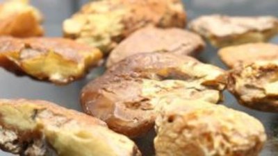 На JUNWEX Москва прошел круглый стол по развитию янтарного промышленного кластера