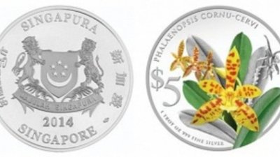Фаленопсис оленерогий будет показан на монете Сингапура