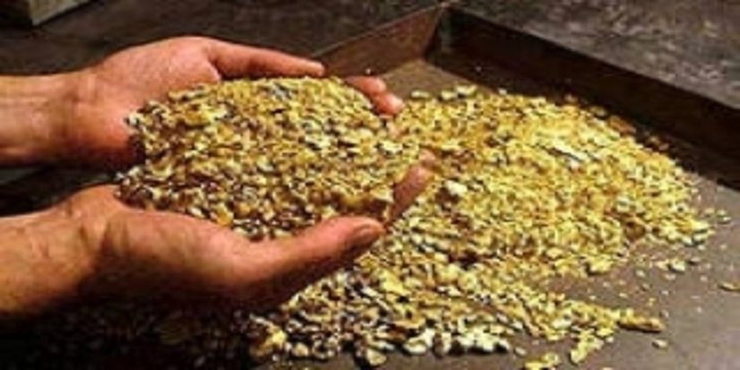 "Гранул" незаконно добывал золото в Тофаларии
