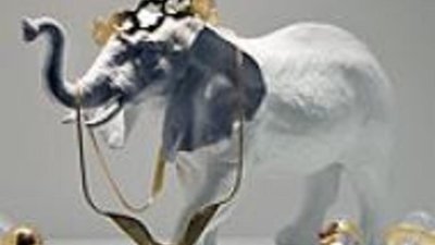 Выставки студентов института "Шенкар"