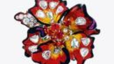 Радикальная флора