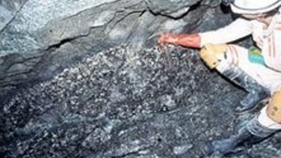 Россия и Зимбабве подписали соглашение о сотрудничестве в освоении платинового месторождения планируемой мощностью 800 тыс. унций в год