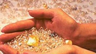 Программа Архангельских россыпей