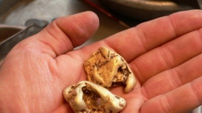 "Богуславец" предложил $8 млн за 12 тонн Мало-Тарынского золота