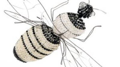 Домашняя пчела: не ужалит, но ослепит