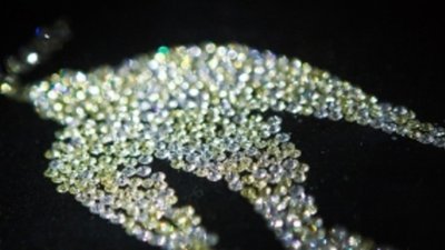 Из музея Оппенгеймера украдены алмазы