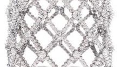 Гонконгские знаменитости продемонстрировали украшения от Гарри Уинстона