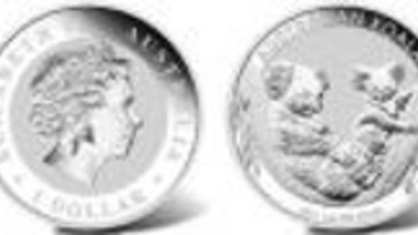Коала на австралийских монетах