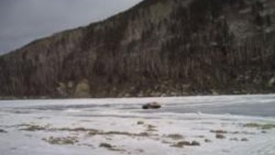 Три золотоносных участка выиграл «РЕТКОН» в Бодайбинском районе