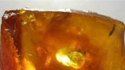 Калининградский янтарный комбинат выделил художникам 200 килограмм камня