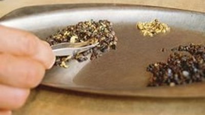 Уралнедра отменило аукцион по Пожемависскому золоту