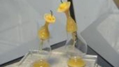 В музее янтаря началась "Янтарная осень"