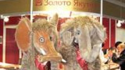 «Золото Якутии» вызвала ажиотаж