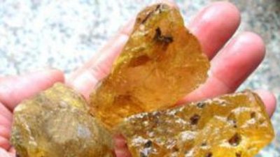 В Литве задержан гражданин РФ за попытку незаконного ввоза янтаря