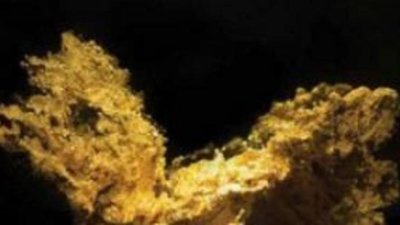 Из музея в Калифорнии пытались украсть уникальный золотой самородок