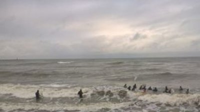 В Пионерском мощный шторм выбросил на берег килограммы янтаря