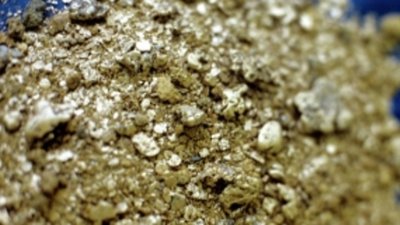 Кострома становится золотодобывающей