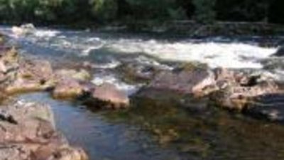 Золотодобытчики нарушили экологию