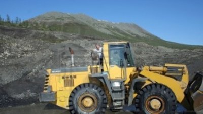 Артель "Полевая" в 2014 г может сократить добычу золота на 34%