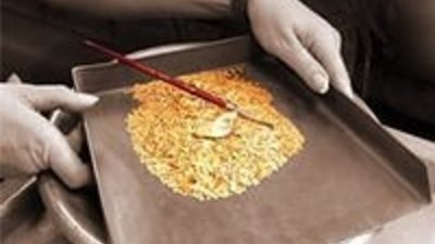 Колымский "Гран" на 4% сократил добычу золота в 2014 г