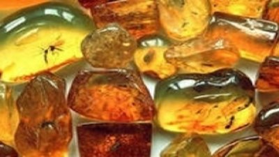 Конференция «Янтарь и его имитации» в Калининграде